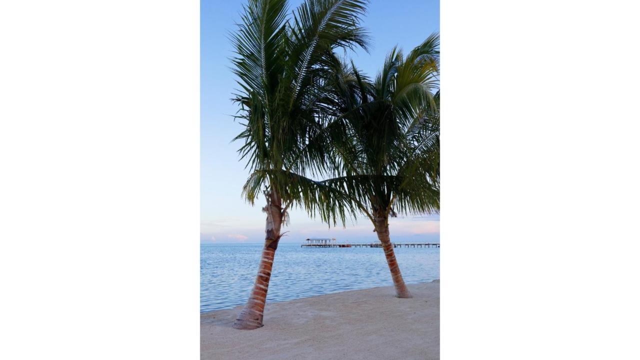 奇卡水疗小屋酒店 伊斯拉莫拉达 外观 照片 Palm trees on the beach at the Grand Hotel