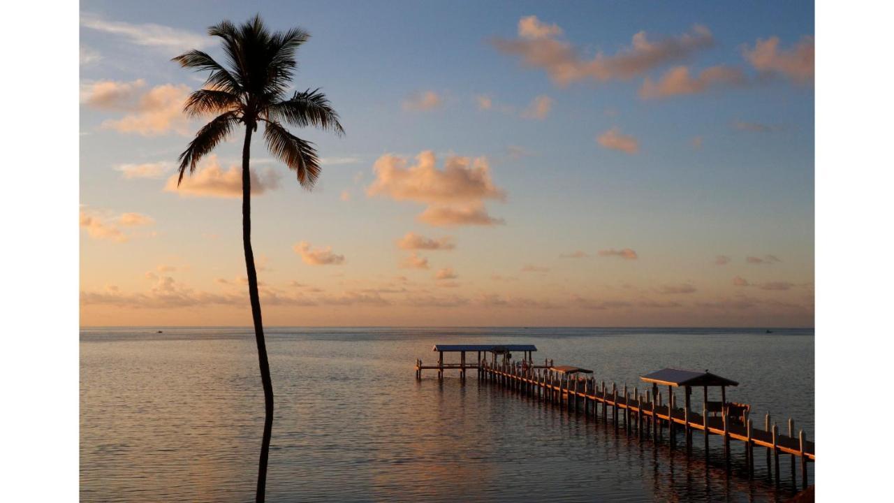 奇卡水疗小屋酒店 伊斯拉莫拉达 外观 照片 Sunset at the pier